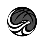 basketballillawara-2-300x146-1